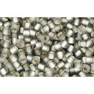 cc29af - perles de rocaille Toho 11/0 silver lined frosted black diamond (10g)