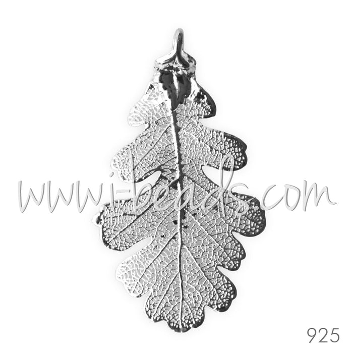 Pendentif véritable feuille de chêne galvanisée argent 925 (1)