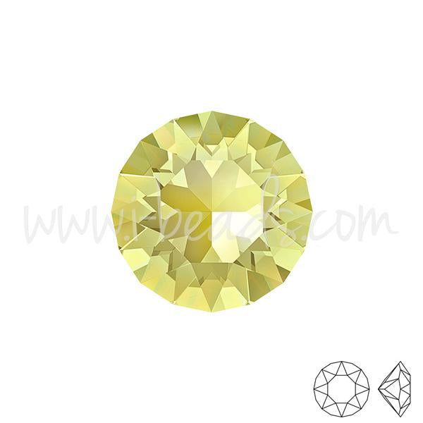 Cristal Swarovski 1088 xirius chaton jonquil 6mm-SS29 (6)