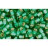 cc24bf - perles de rocaille Toho 8/0 silver lined frosted dark peridot (10g)