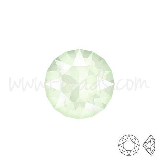 Achat Cristal Swarovski 1088 xirius chaton crystal powder green 6mm-ss29 (6)