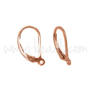 Boucles d'oreilles Dormeuses rose gold filled (2)