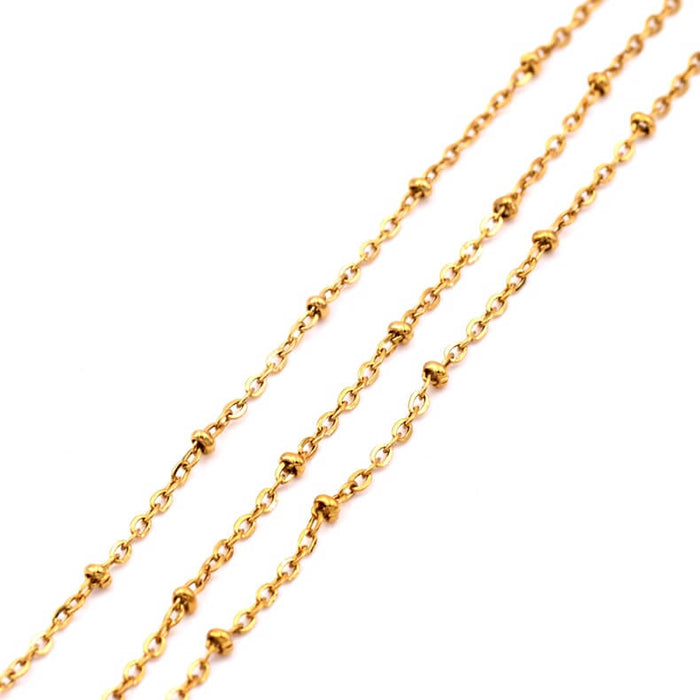 Chaine en Acier Inoxydable Doré Maille Satellite 2.5mm (50cm)