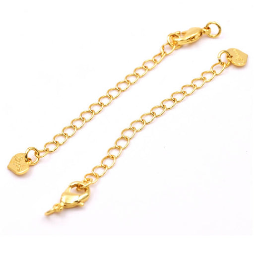 Chaine d'extension 70mm en laiton doré avec mousqueton et coeur (2)