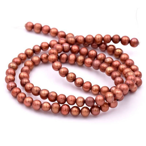 Perle d'eau douce ronde marron cuivré 4.5-5mm (1fil-40cm)