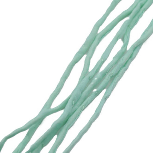 Achat Cordon de soie naturelle teinture main vert pastel 2mm (1m)