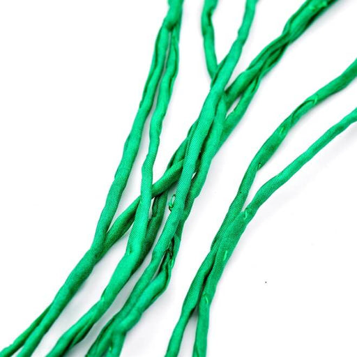 Achat Cordon de soie naturelle teinture main vert vif 2mm (1m)