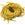 Grossiste en Cordon de soie naturelle cousu main teinture jaune curry 2mm (1m)