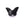 Vente au détail Pendentif papillon sculpté en Agate noire 17x16.5mm - Trou: 1mm (1)