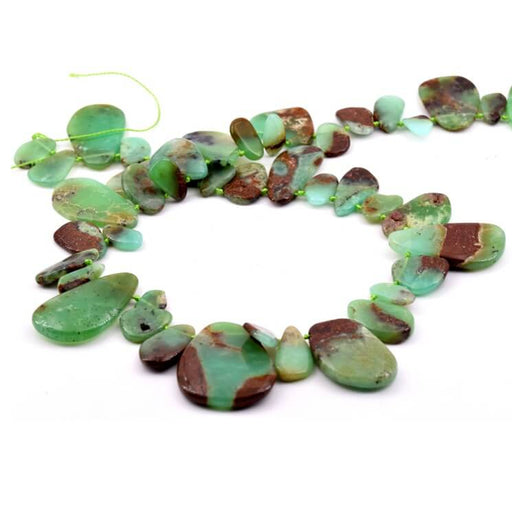Perle goutte plate en chrysoprase vert 6-20mm -Trou: 0.5mm (1 Fil-40cm)
