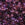 Vente au détail Miyuki Round Beads 11/0 Mix Lilacs (10g)
