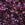 Grossiste en Miyuki Round Beads 11/0 Mix Lilacs (10g)