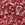 Vente au détail Miyuki Round Beads 11/0 Mix Strawberry Fields (10g)
