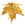 Grossiste en Pendentif véritable feuille d'érable galvanisée or 24K 60mm (1)