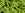 Vente au détail cc24 - perles Toho bugle 9mm silver lined lime green (10g)