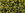 Grossiste en cc246 - perles Toho cube 1.5mm luster black diamond/opaque yellow lined (10g)