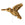 Grossiste en Perle colibri métal doré or fin vieilli 13x18mm (1)