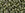 Grossiste en cc457 - perles Toho magatama 3mm gold lustered green tea (10g)