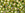 Grossiste en cc996 - perles de rocaille Toho 6/0 gold lined rainbow peridot (10g)