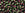 Vente au détail cc2204 - perles de rocaille Toho 8/0 silver lined frosted olivine/pink (10g)