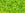 Grossiste en cc4 - perles de rocaille Toho 8/0 transparent lime green (10g)