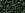 Grossiste en cc940f - perles de rocaille Toho 8/0 transparent frosted olivine (10g)