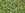 Grossiste en cc1829 - perles de rocaille Toho 11/0 rainbow light jonquil/ green (10g)