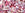 Grossiste en Mix de perles Toho hime-pink (10g)