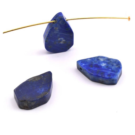 Achat Pendentifs Goutte Plats Lapis Lazulis naturelle 20mm - Trou: 1mm (2)