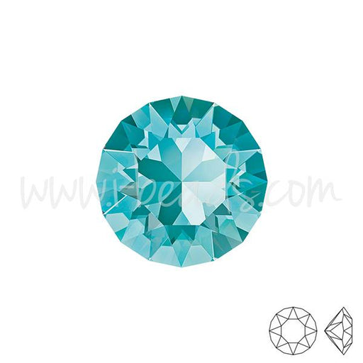 Achat Cristal Swarovski 1088 xirius chaton light turquoise 6mm-SS29 (6)