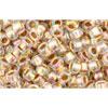 Achat cc994 - perles de rocaille Toho 8/0 gold lined rainbow crystal (10g)