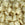 Vente au détail Cc2021 - Perles Miyuki tila mat cream 5mm (25 beads)