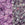 Vente au détail cc2724 - perles de rocaille Toho 11/0 Glow in the dark dark pink/green pink (10g)