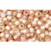 Achat cc2031f - perles de rocaille toho 8/0 silver lined frosted rainbow rosaline (10g)