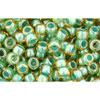 cc380 - perles de rocaille Toho 8/0 topaz/mint julep lined (10g)