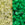 Vente au détail cc2721 - perles de rocaille Toho 11/0 Glow in the dark yellow/bright green (10g)