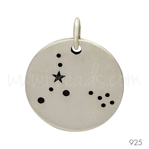 Pendentif constellation du zodiaque Poissons argent 925 (1)