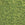 Vente au détail DB1135 - 11/0 OPAQUE AVOCADO- 1,6mm - Hole : 0,8mm (5gr)