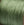 Grossiste en cordon nylon tressé - 0.4mm- vert olive -(vente par 3m)