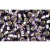 cc39 - perles de rocaille Toho 8/0 silver lined tanzanite (10g)