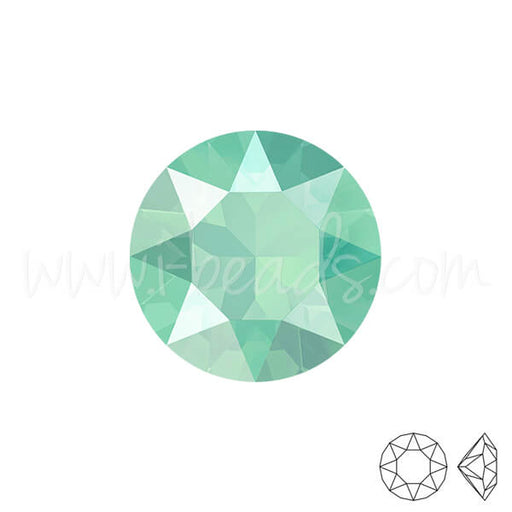 Achat Swarovski 1088 xirius chaton crystal mint green 6mm-SS29 (6)