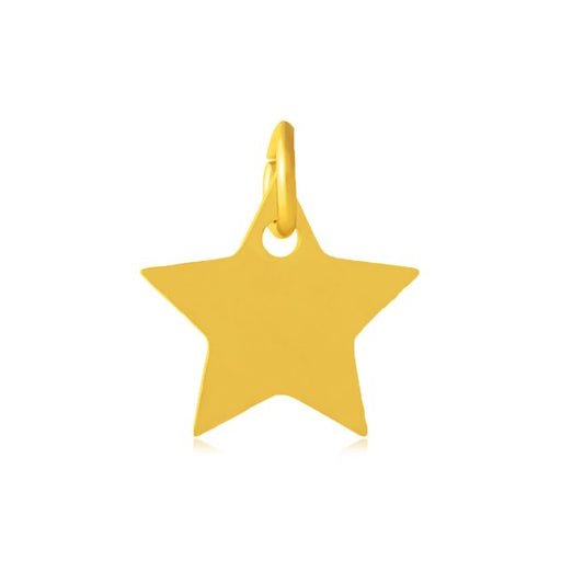 Achat Médaille breloque pendentif motif étoile Acier Inoxydable doré OR avec anneau 12mm (1)
