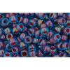 cc381 - perles de rocaille Toho 8/0 aqua/oxblood lined (10g)