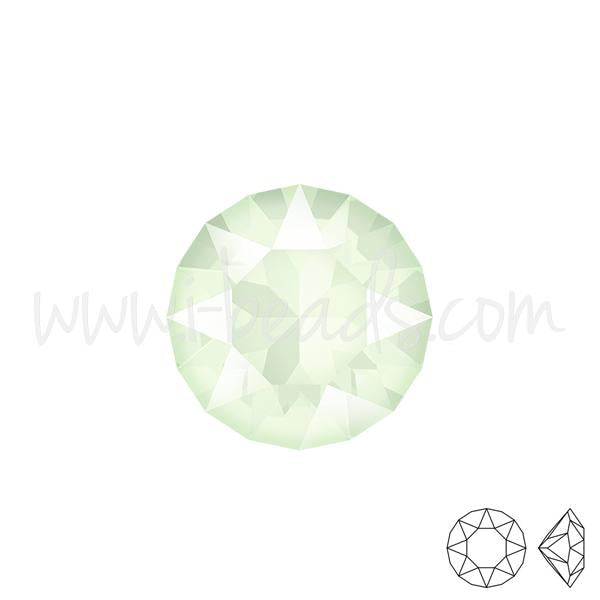 Cristal Swarovski 1088 xirius chaton crystal powder green 6mm-ss29 (6)