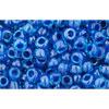 Achat cc932 - perles de rocaille Toho 8/0 aqua/capri lined (10g)