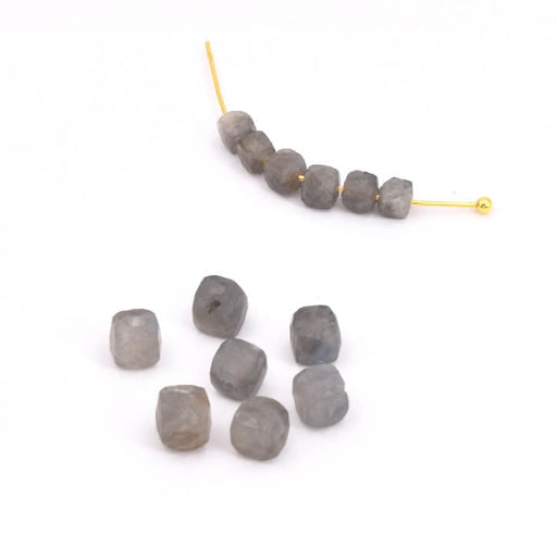 Perles cube à facettes Labradorite 3.5mm trou: 0.6mm (10)