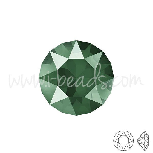 Achat Swarovski 1088 xirius chaton crystal royal green 6mm-SS29 (6)